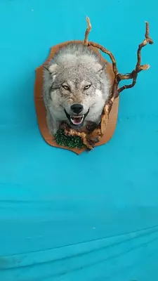 Мы создаем скульптуры разных форм для людей, которые охотятся и интересуются