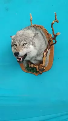 Мы создаем скульптуры разных форм для людей, которые охотятся и интересуются