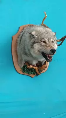 Мы создаем скульптуры разных форм для людей, которые охотятся и интересуются