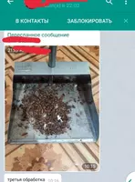 {0} so'mdan Hamamböceği kovucu