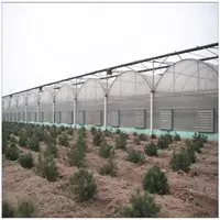 Теплица из горячеоцинкованной стали