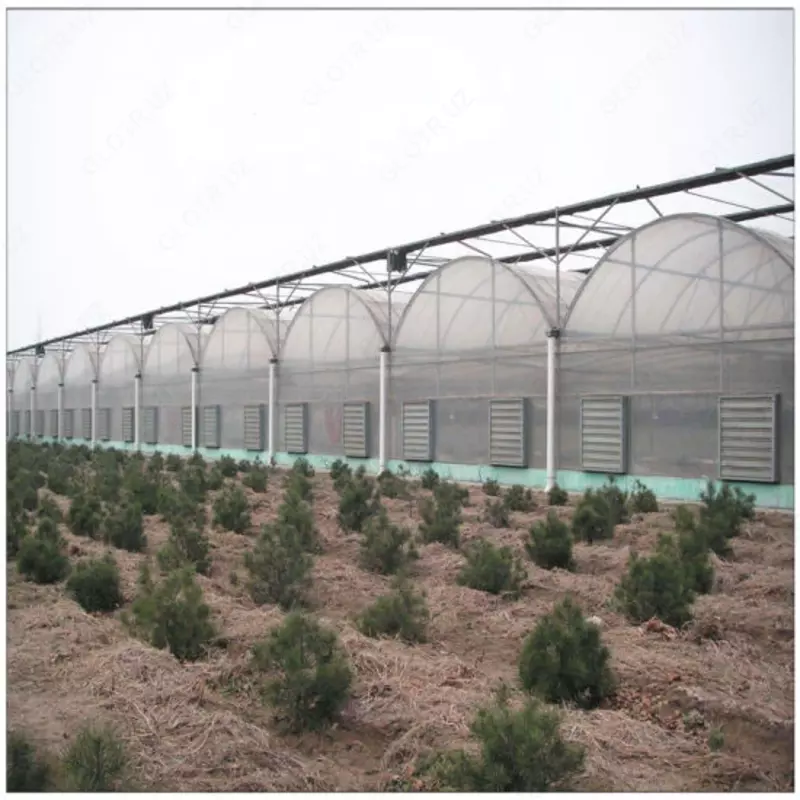 Теплица из горячеоцинкованной стали