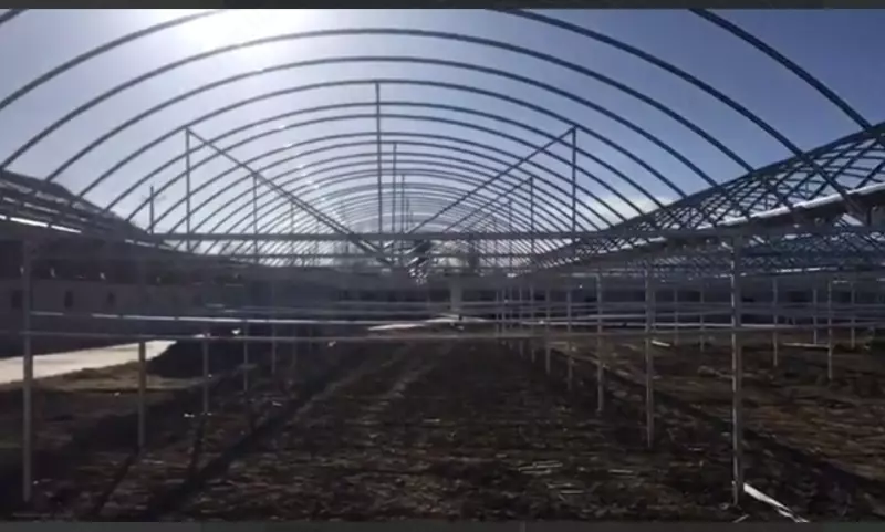  Теплица из горячеоцинкованной стали - 