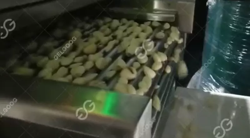  Машина для очистки чеснока SANZHONGTAO