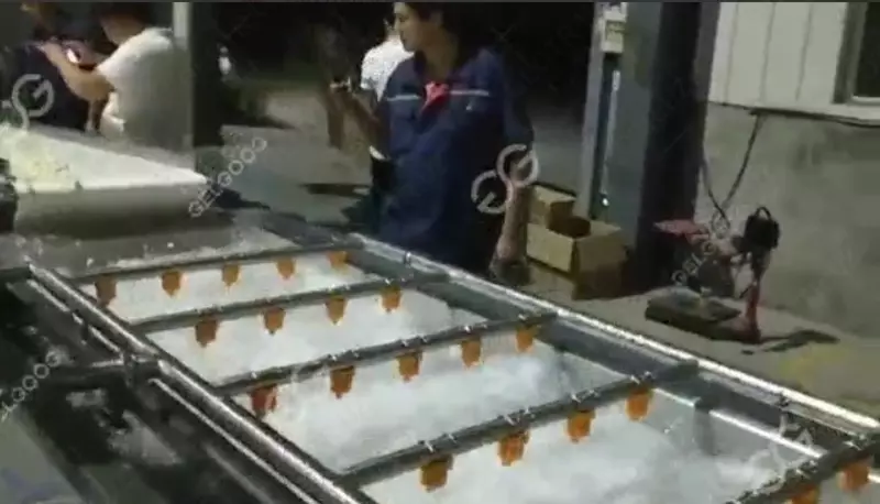  Машина для очистки чеснока - SANZHONGTAO