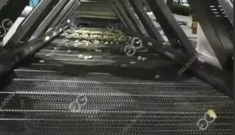  SANZHONGTAO - Машина для очистки чеснока