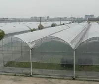 Теплица китайского производства