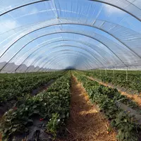  Теплица китайского производства - 