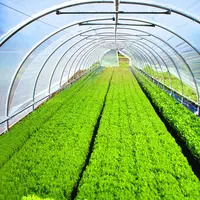   Теплица китайского производства