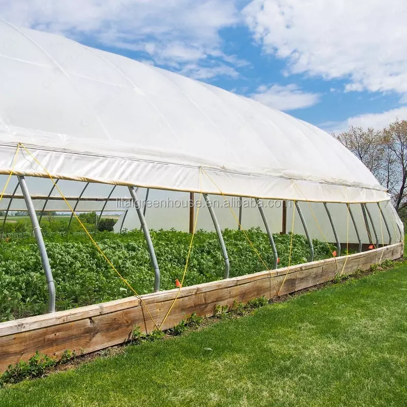  Теплица китайского производства Только в розницу