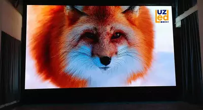 Светодиодный экран №271