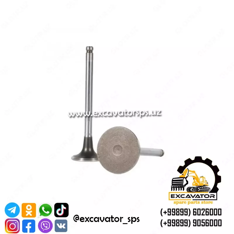 Впускной клапан двигателя