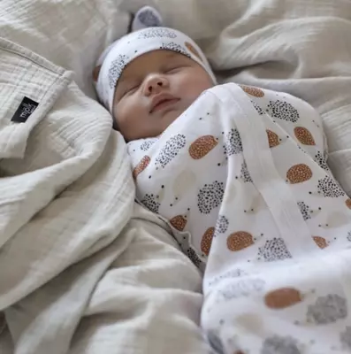 Bezi pilla kirpilari