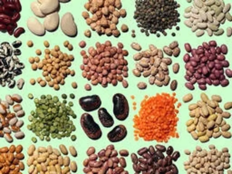 Семена овощных культур