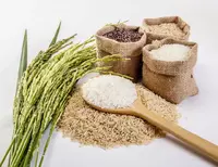  Семена овощных культур - Семена овощей