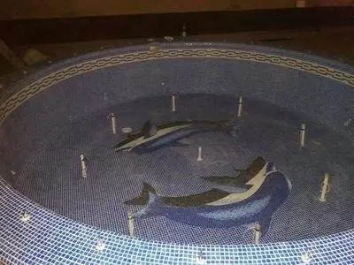 Hovuzlar, favvoralar, sharsharalar, hovuzlar qurilishi