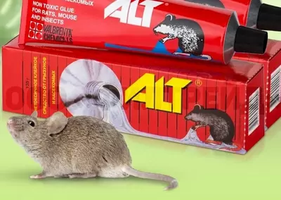 Клей от крыс и мышей ( Упаковка)