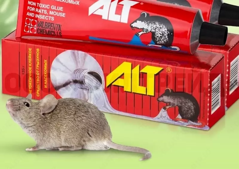 Sichqon va kalamushlardan elim (qadoqlash)