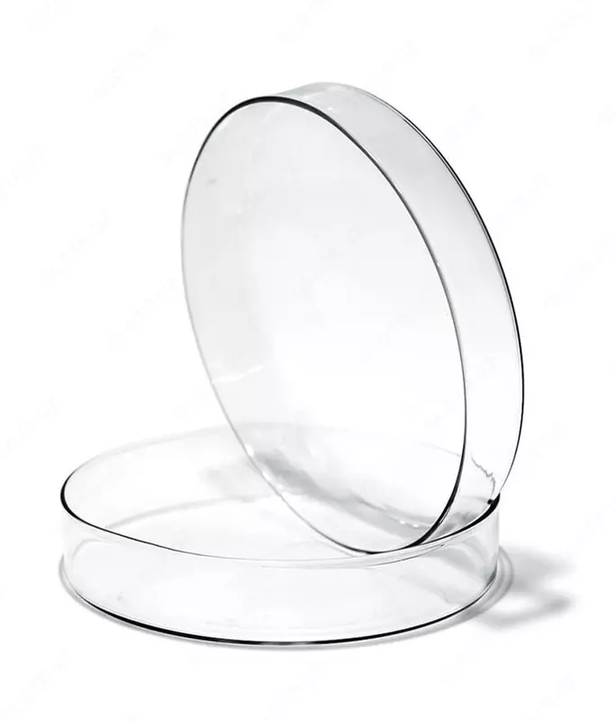 Mikrobiologik stakan (Petri) 100 x 20 mm (dona)