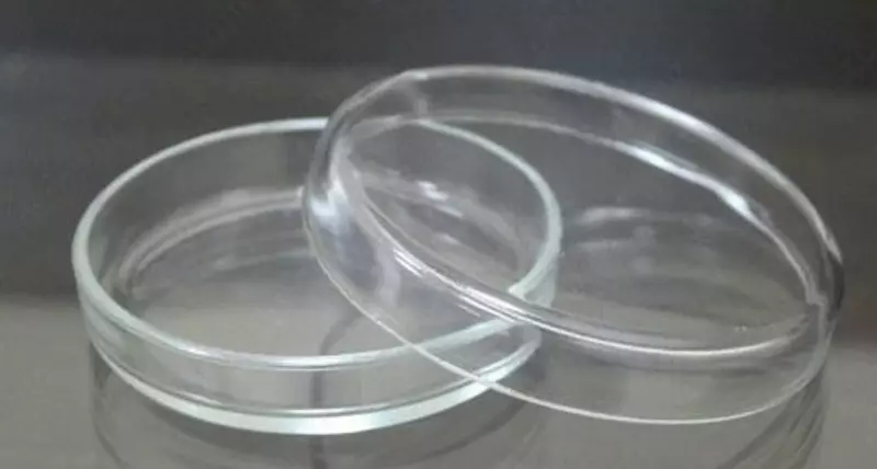  Mikrobiologik stakan (Petri) 100 x 20 mm (dona) - 