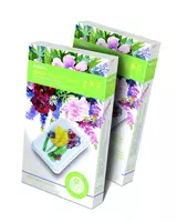 Dreamer Josephin Akvarel sovuni to'plami. To'plam №4 "Lola" - 34 200 so'm