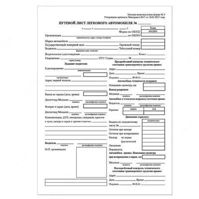 Путевой лист легковых автомобилей А5 (бланк), 100 листов Путевой лист легковых автомобилей А5 (бланк), 100 листов