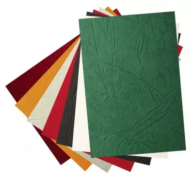 Задняя обложка для переплета