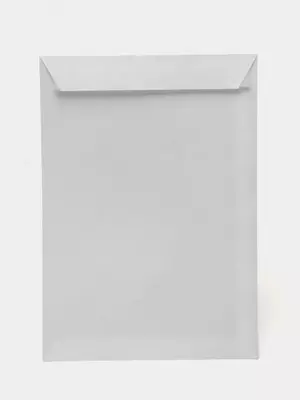 Пакет-конверт Е65 (110х220) 100 г/м²