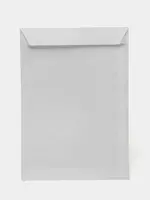 Пакет-конверт Е65 (110х220) 100 г/м²