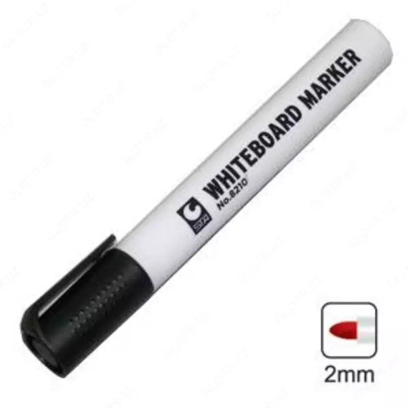 Doska belgisi konussimon