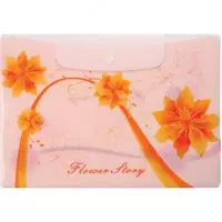 Папка-конверт А4 с кнопкой FLOWER STORY 0