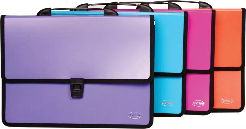 Портфель пластиковый 2 отделения