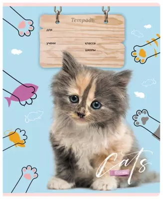 Тетрадь BG "Cat story" 12 листов