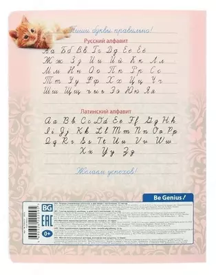 Тетрадь BG "Cat story" 12 листов