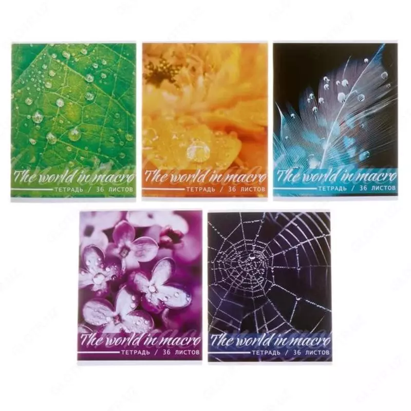 Тетрадь 36 листов Centrum