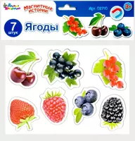 Магнит "Ягоды" - 10 000 сум