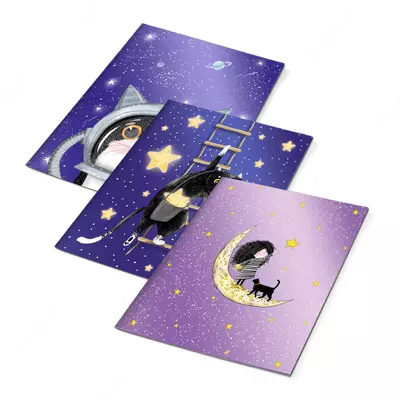 Обложки для тетрадей с голографическим рисунком