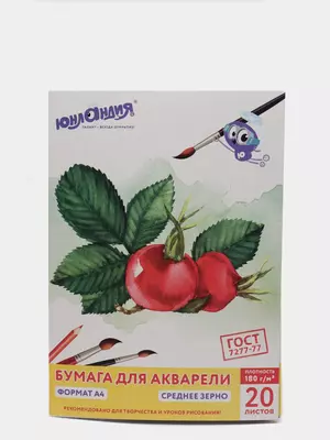 Папка для акварели А4 - 31 000 сум / шт.