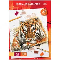 Папка для акварели ArtSpace "Тигр"