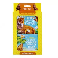 Centrum - Набор панорамных книжек "Факты в кармане"