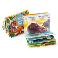 Набор панорамных книжек "Факты в кармане" Детская литература