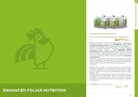 УСИЛЕННОЕ ЛИСТОВОЕ ПИТАНИЕ