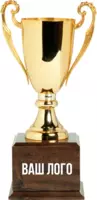Наградной кубок с логотипом