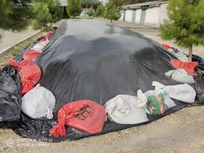 Семена кукурузы HYBRID ООО "AKDENIZ TOHUM AGRO"