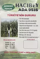 Семена кукурузы HYBRID