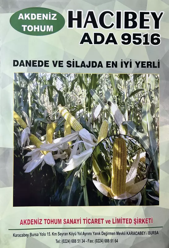 от {0} сум Семена кукурузы HYBRID