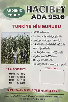 Семена кукурузы HYBRID