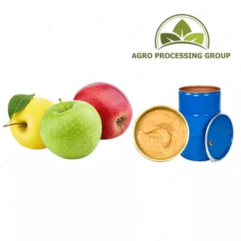 Концентрированное пюре