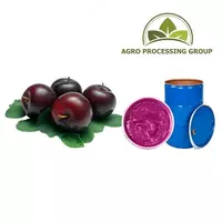 Olxo'ri pyuresi (konsentrat)