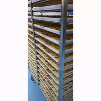 Сушеные фрукты - Agro Processing Group